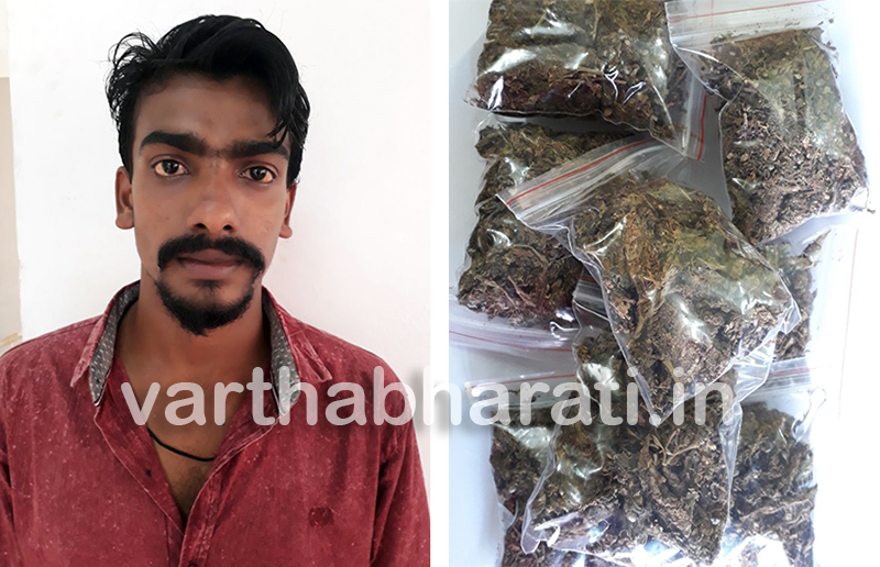 ಗಾಂಜಾ ಮಾರಾಟಕ್ಕೆ ಯತ್ನ: ಆರೋಪಿ ಸೆರೆ